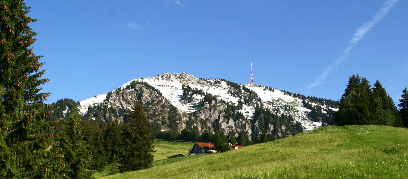 Gruenten Im Fruehling