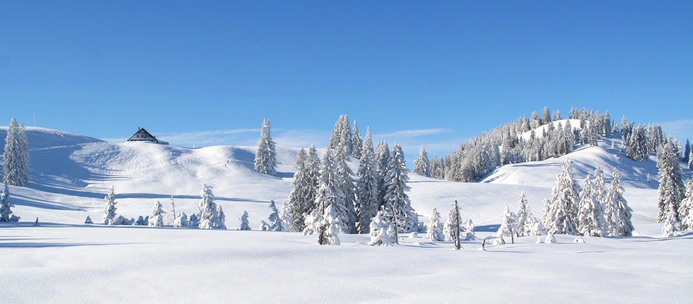 Traumhafte Winter Landschaft